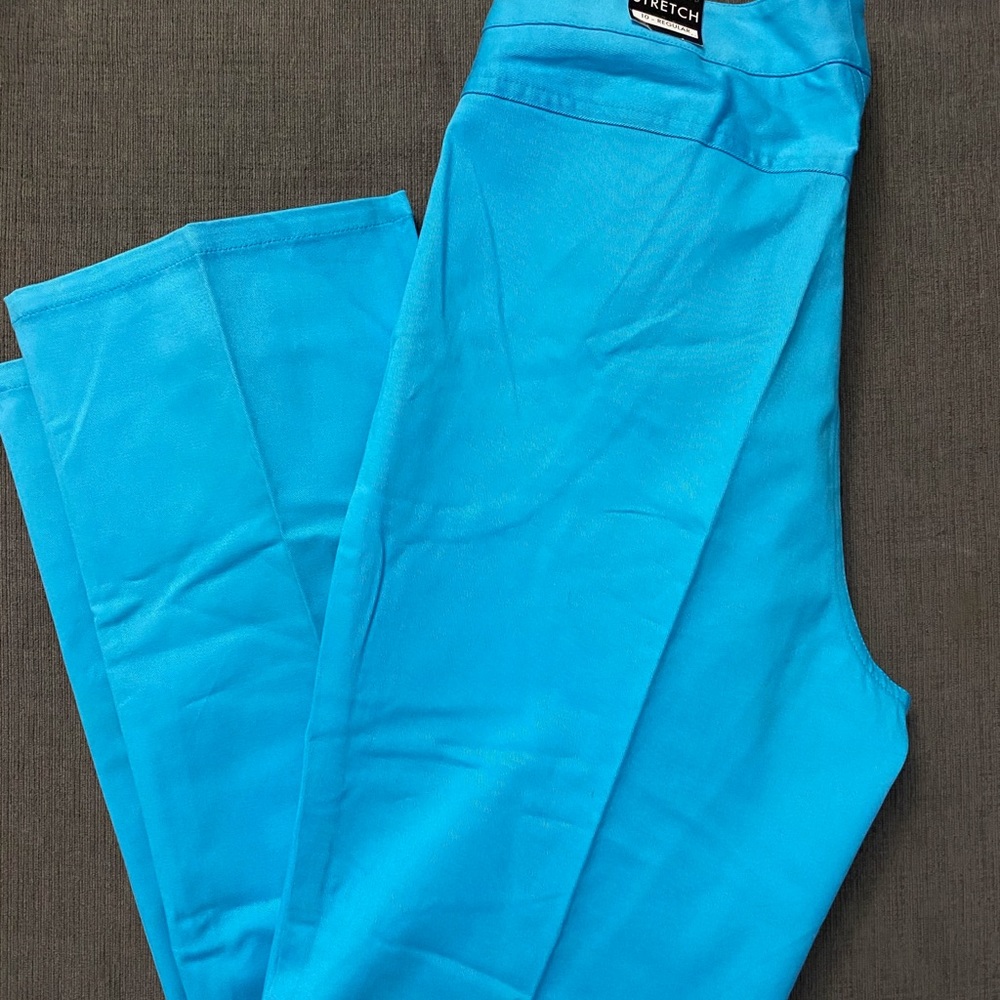 Bright Blue The Limited Slacks